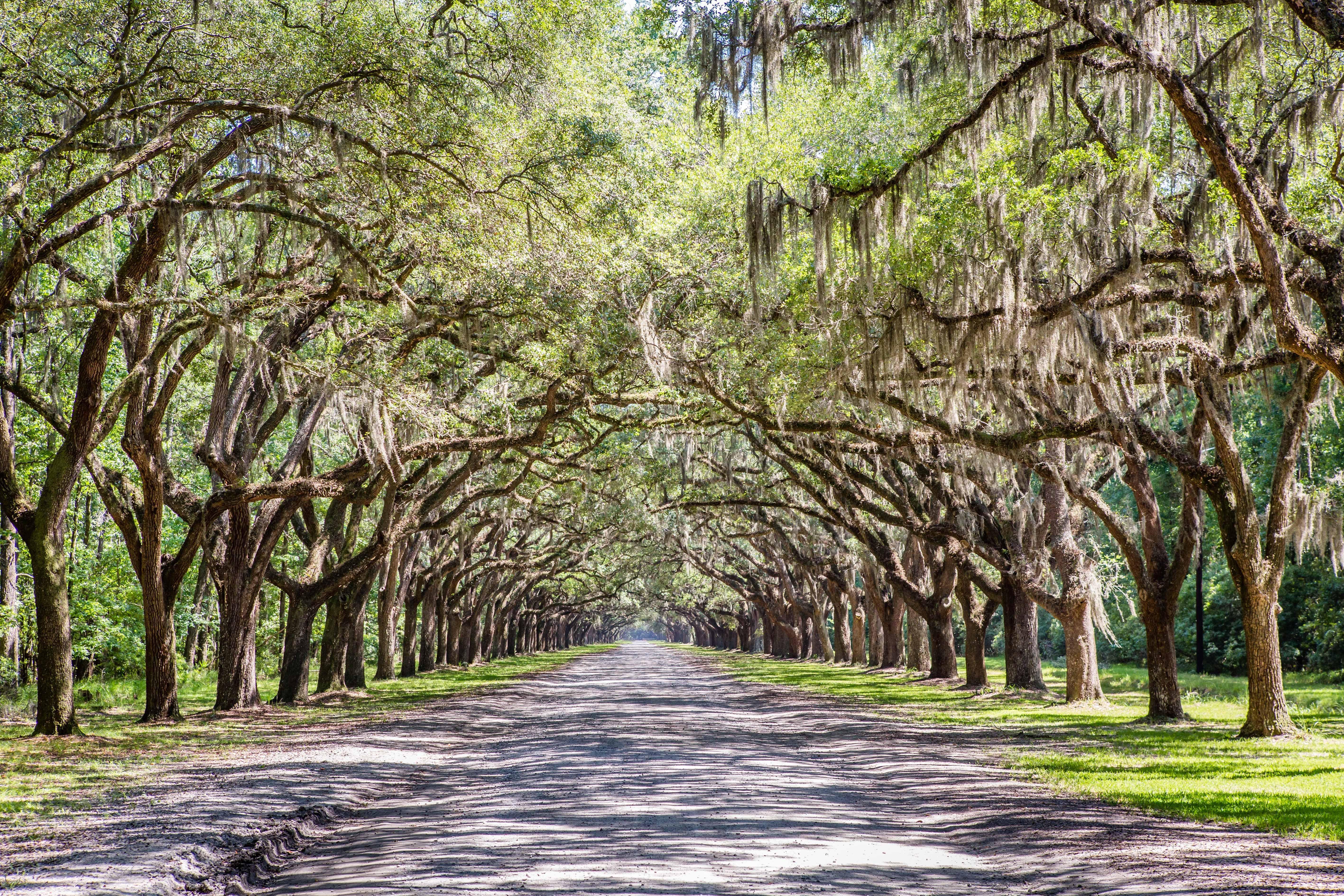 Holiday Inn Savannah Historic District By Ihg Luaran gambar